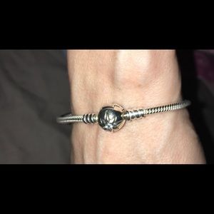 Pandora Charm Bracelet